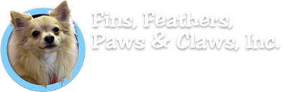 Fins, Feathers, Paws & Claws